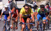 Yellow Jersey Group